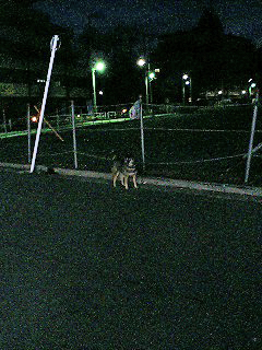 050127_0601~0001.jpg