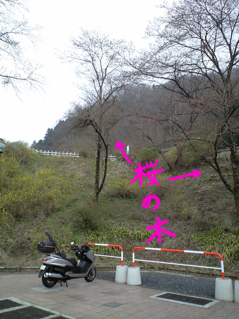CA390042.jpg