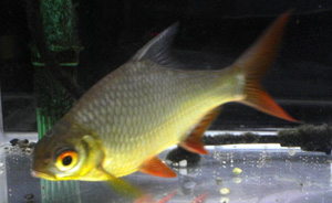 SN250105.jpg